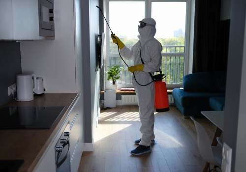 From Infestation To Transformation: Pest Insect Control Service Tips For Calgary Home Staging
